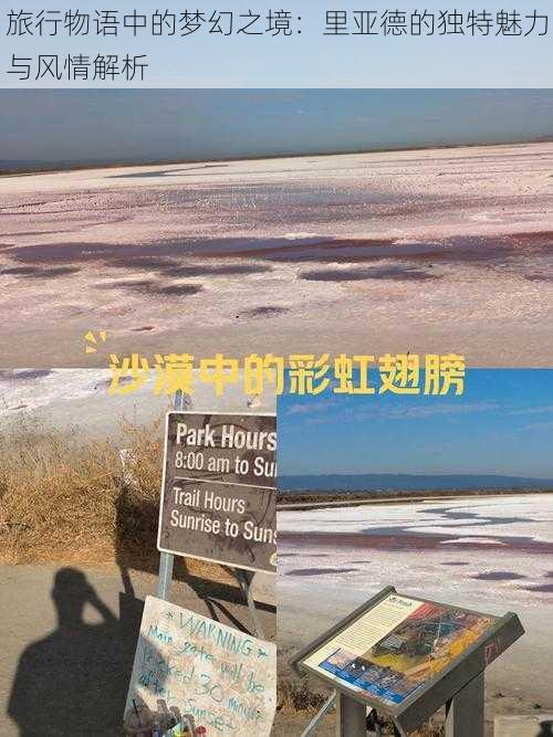 旅行物语中的梦幻之境：里亚德的独特魅力与风情解析