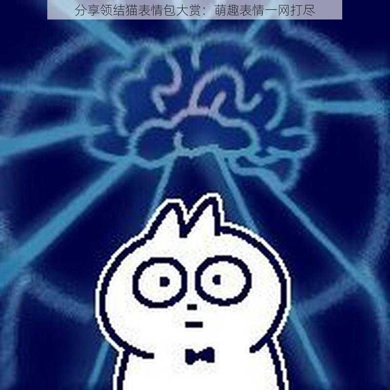 分享领结猫表情包大赏：萌趣表情一网打尽