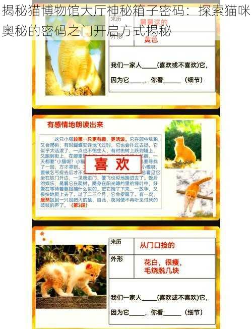 揭秘猫博物馆大厅神秘箱子密码：探索猫咪奥秘的密码之门开启方式揭秘