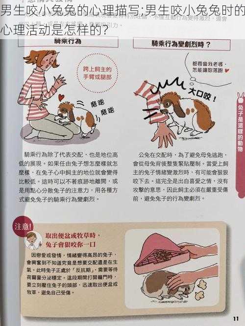 男生咬小兔兔的心理描写;男生咬小兔兔时的心理活动是怎样的？