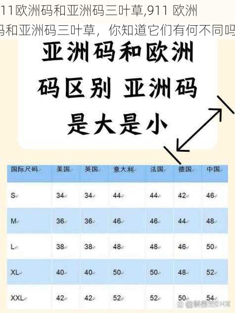 911欧洲码和亚洲码三叶草,911 欧洲码和亚洲码三叶草，你知道它们有何不同吗？