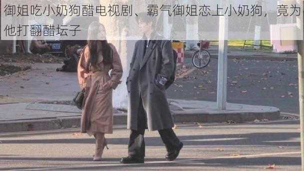 御姐吃小奶狗醋电视剧、霸气御姐恋上小奶狗，竟为他打翻醋坛子