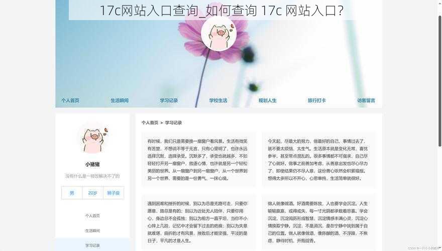 17c网站入口查询_如何查询 17c 网站入口？