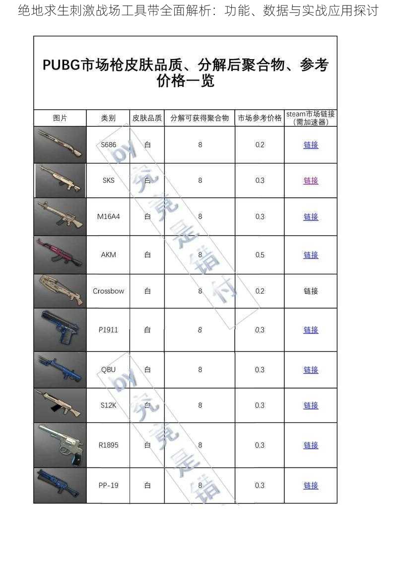 绝地求生刺激战场工具带全面解析：功能、数据与实战应用探讨