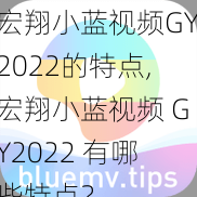 宏翔小蓝视频GY2022的特点,宏翔小蓝视频 GY2022 有哪些特点？