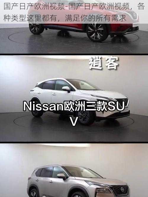 国产日产欧洲视频-国产日产欧洲视频，各种类型这里都有，满足你的所有需求