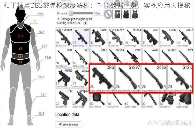 和平精英DBS霰弹枪深度解析：性能数据一览，实战应用大揭秘