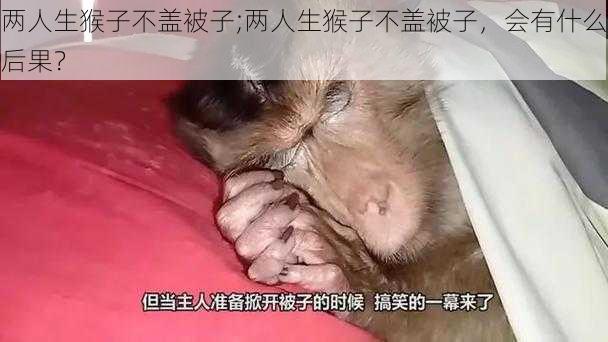 两人生猴子不盖被子;两人生猴子不盖被子，会有什么后果？