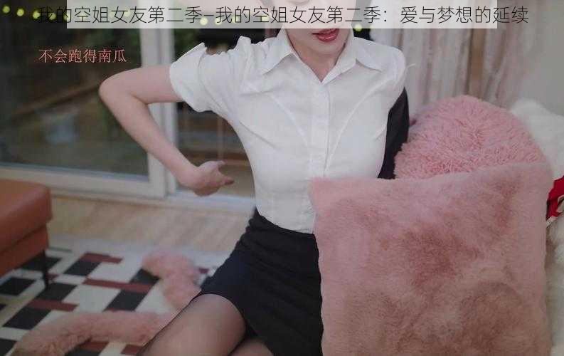 我的空姐女友第二季—我的空姐女友第二季：爱与梦想的延续