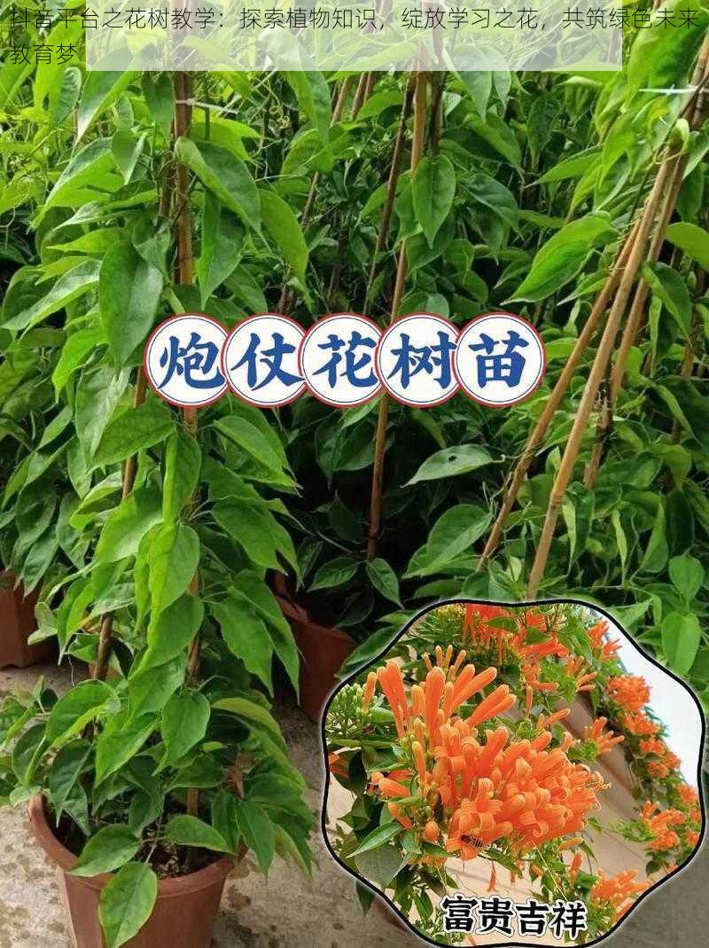 抖音平台之花树教学：探索植物知识，绽放学习之花，共筑绿色未来教育梦