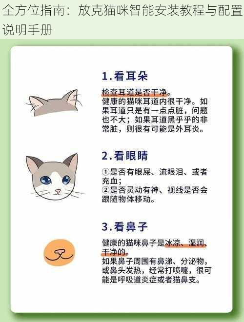 全方位指南：放克猫咪智能安装教程与配置说明手册