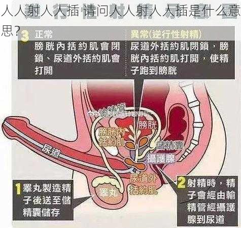 人人射人人插 请问人人射人人插是什么意思？