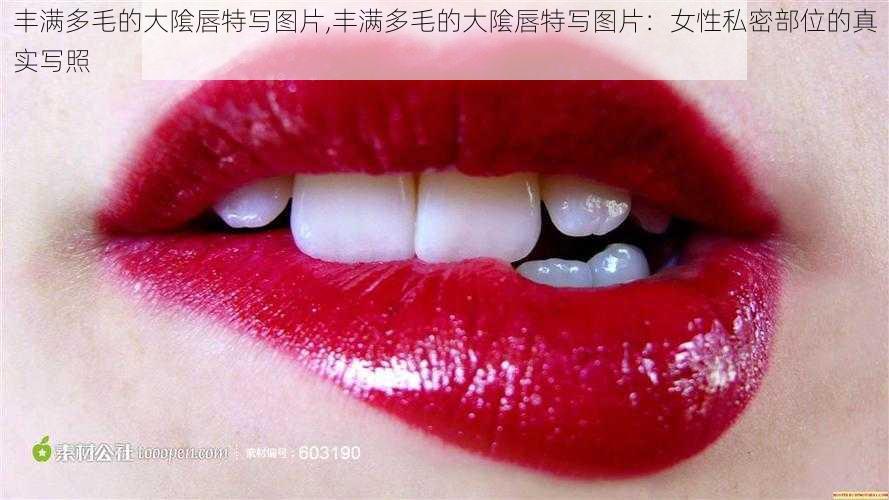 丰满多毛的大隂唇特写图片,丰满多毛的大隂唇特写图片：女性私密部位的真实写照