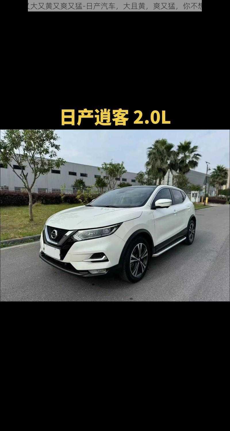 日产又大又黄又爽又猛-日产汽车，大且黄，爽又猛，你不想试试？