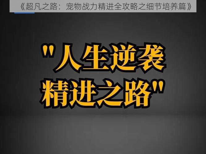 《超凡之路：宠物战力精进全攻略之细节培养篇》