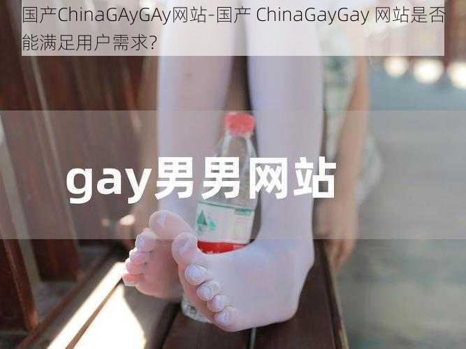 国产ChinaGAyGAy网站-国产 ChinaGayGay 网站是否能满足用户需求？