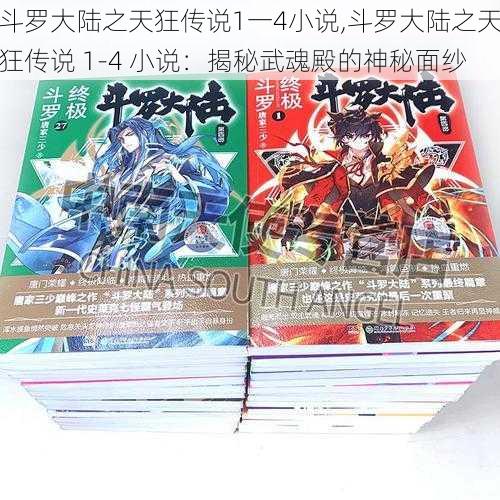 斗罗大陆之天狂传说1一4小说,斗罗大陆之天狂传说 1-4 小说：揭秘武魂殿的神秘面纱