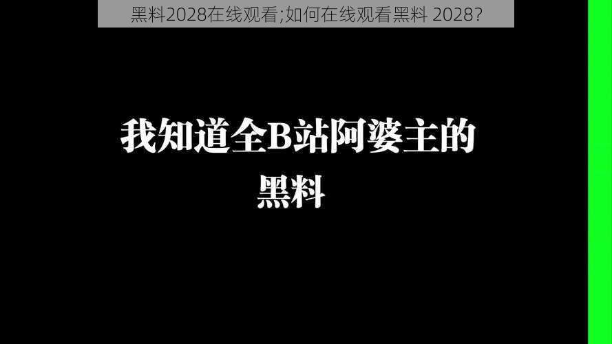 黑料2028在线观看;如何在线观看黑料 2028？