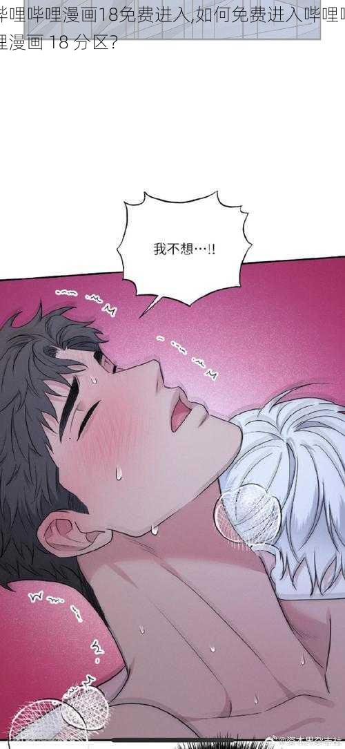 哔哩哔哩漫画18免费进入,如何免费进入哔哩哔哩漫画 18 分区？