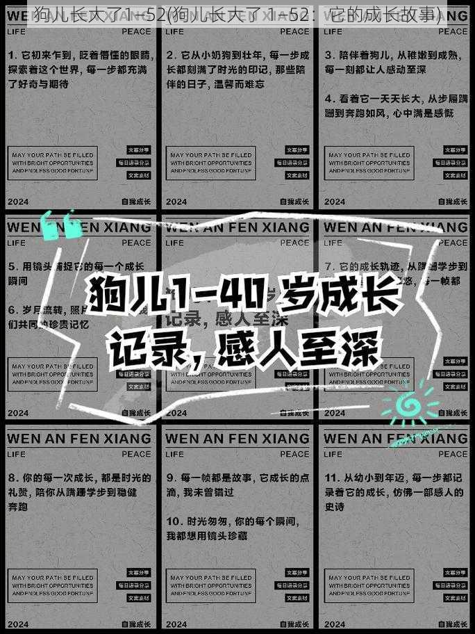 狗儿长大了1—52(狗儿长大了 1—52：它的成长故事)