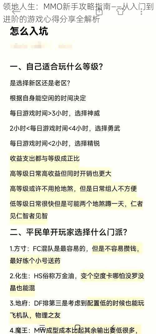 领地人生：MMO新手攻略指南——从入门到进阶的游戏心得分享全解析