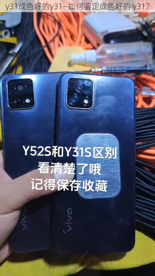 y31成色好的y31—如何鉴定成色好的 y31？