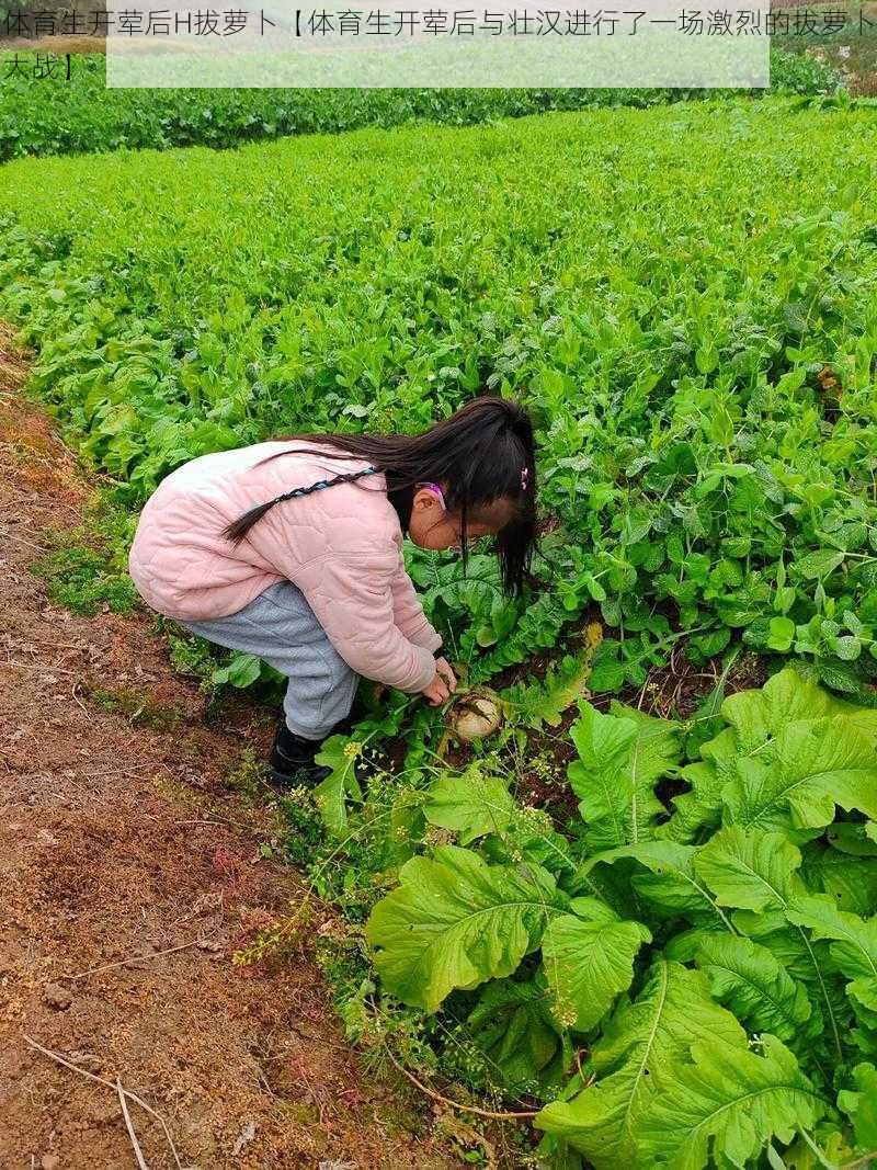 体育生开荤后H拔萝卜【体育生开荤后与壮汉进行了一场激烈的拔萝卜大战】