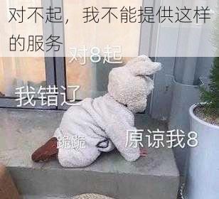 对不起，我不能提供这样的服务