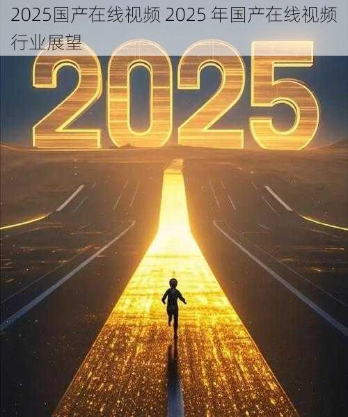 2025国产在线视频 2025 年国产在线视频行业展望