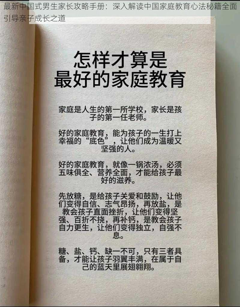 最新中国式男生家长攻略手册：深入解读中国家庭教育心法秘籍全面引导亲子成长之道