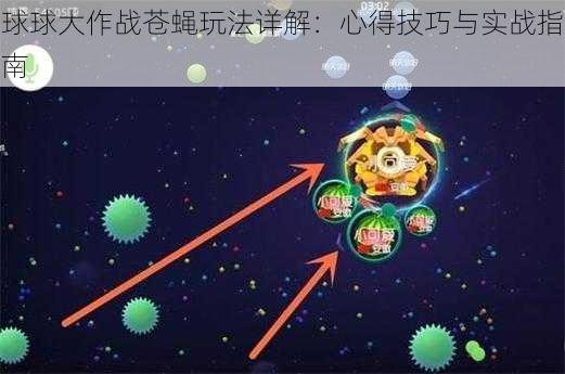 球球大作战苍蝇玩法详解：心得技巧与实战指南