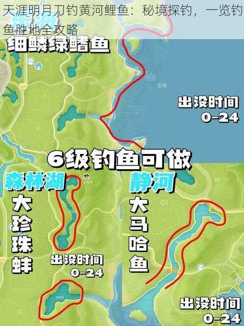 天涯明月刀钓黄河鲤鱼：秘境探钓，一览钓鱼胜地全攻略