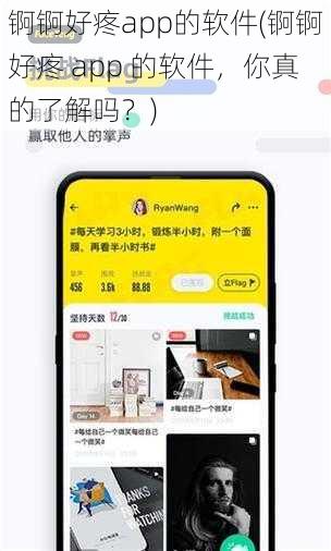 锕锕好疼app的软件(锕锕好疼 app 的软件，你真的了解吗？)