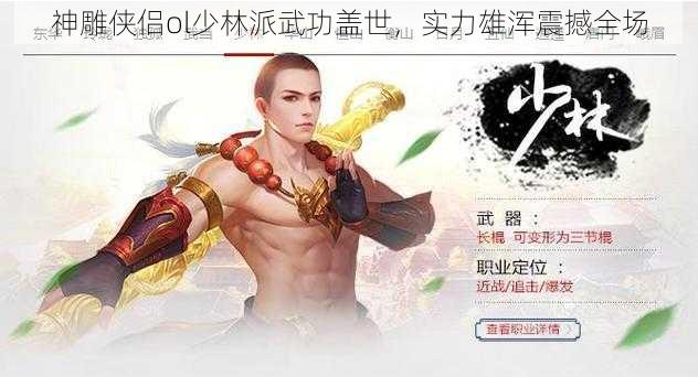 神雕侠侣ol少林派武功盖世，实力雄浑震撼全场