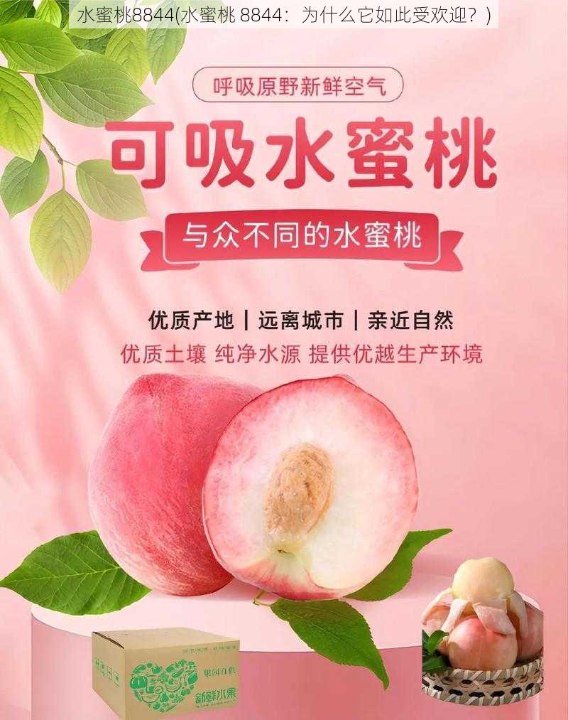 水蜜桃8844(水蜜桃 8844：为什么它如此受欢迎？)