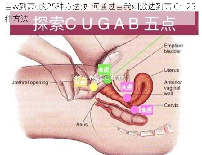 自w到高c的25种方法;如何通过自我刺激达到高 C：25 种方法