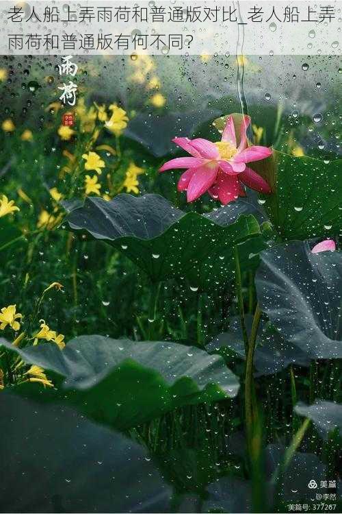 老人船上弄雨荷和普通版对比_老人船上弄雨荷和普通版有何不同？