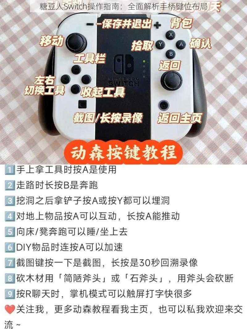 糖豆人Switch操作指南：全面解析手柄键位布局