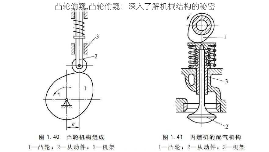 凸轮偷窥,凸轮偷窥：深入了解机械结构的秘密