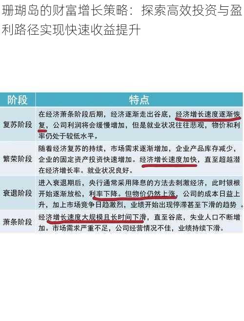 珊瑚岛的财富增长策略：探索高效投资与盈利路径实现快速收益提升