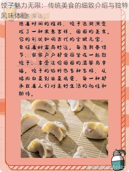 饺子魅力无限：传统美食的细致介绍与独特风味体验