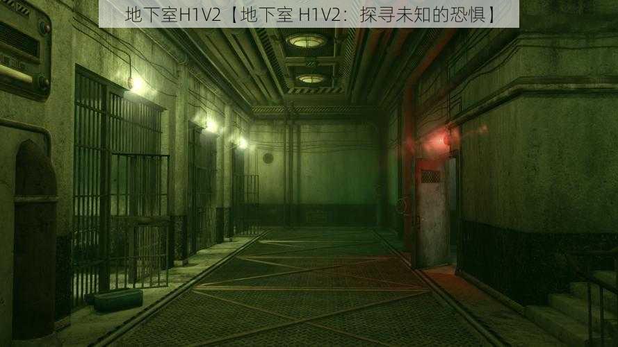 地下室H1V2【地下室 H1V2：探寻未知的恐惧】