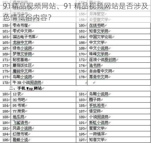 91精品视频网站、91 精品视频网站是否涉及色情低俗内容？