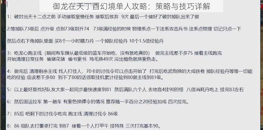 御龙在天丁酉幻境单人攻略：策略与技巧详解