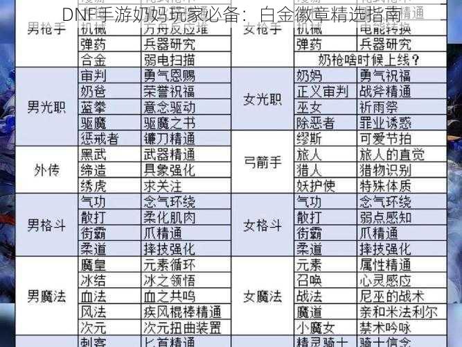 DNF手游奶妈玩家必备：白金徽章精选指南