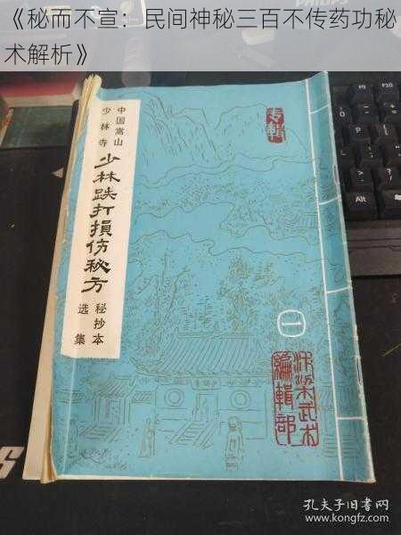 《秘而不宣：民间神秘三百不传药功秘术解析》