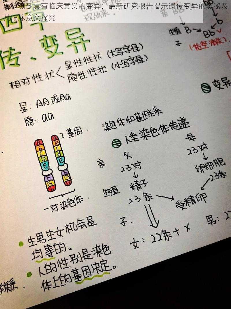 未检测到具有临床意义的变异：最新研究报告揭示遗传变异的奥秘及其临床意义探究