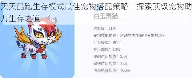 天天酷跑生存模式最佳宠物搭配策略：探索顶级宠物助力生存之道