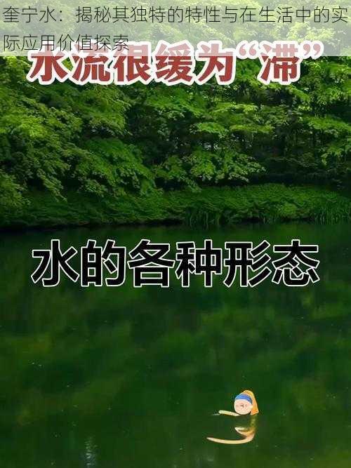 奎宁水：揭秘其独特的特性与在生活中的实际应用价值探索