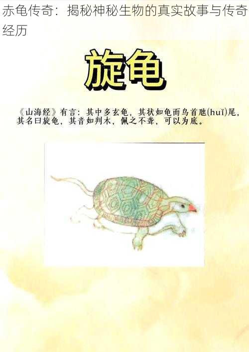 赤龟传奇：揭秘神秘生物的真实故事与传奇经历